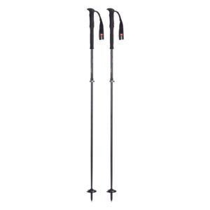 BASTON MAJESTY TOURING CARBON 2P